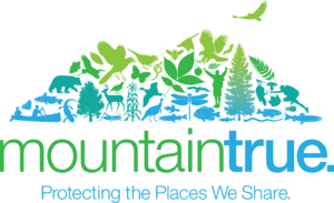 MountainTrue_logo_tag